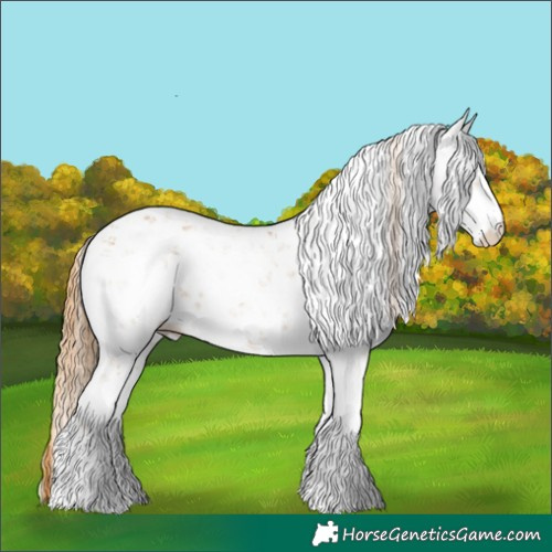 Horse Color:Chestnut Sabino