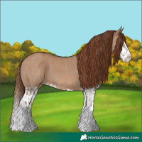 Horse Color:Liver Red Dun Splash and Red Dun Splash