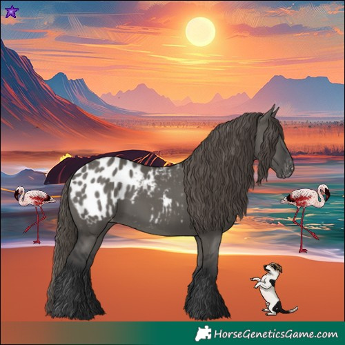 Horse Color:Grullo Appaloosa 