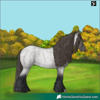 Horse Color:Grullo Roan Varnish