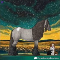 Horse Color:Grullo Roan Varnish 
