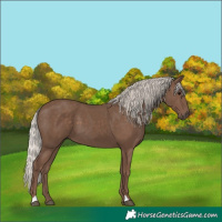 Horse Color:Silver Black
