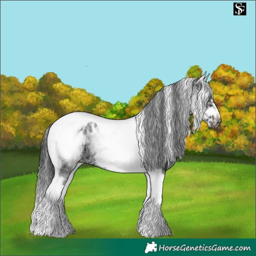 Horse Color:White Spotted Black Splash Tobiano Frame Blanket 