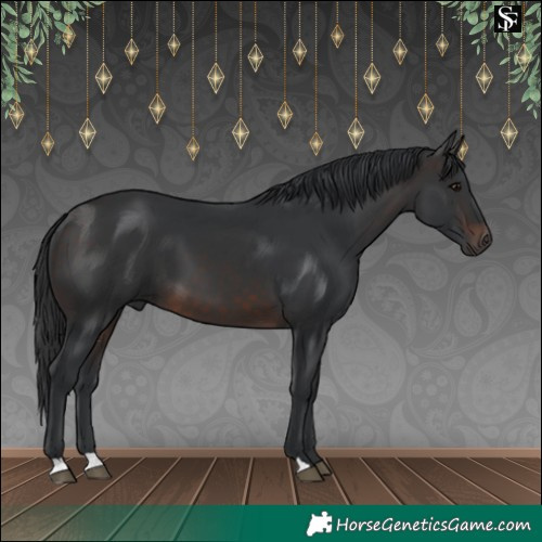 Horse Color:Brown 