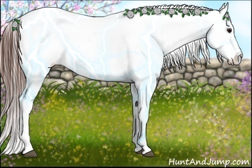 Horse Color:Brown Roan Sabino Varnish Rabicano 