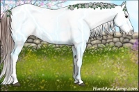 Horse Color:Bay Roan Sabino Appaloosa Rabicano 