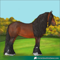 Horse Color:Brown 