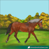 Horse Color:Bay  and Silver Bay 