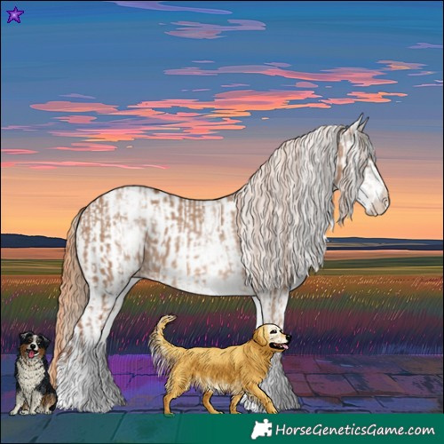 Horse Color:White Spotted Red Dun Rabicano  and White Spotted Red Dun Blanket Rabicano 