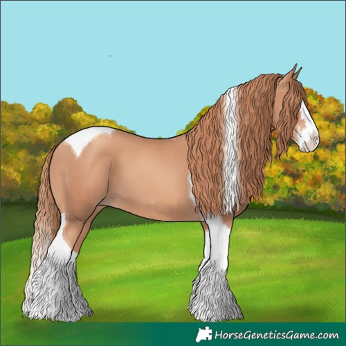 Horse Color:Gold Champagne Splash Tobiano 