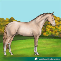 Horse Color:Gold Champagne Pearl Rabicano and Gold Champagne Pearl Rabicano