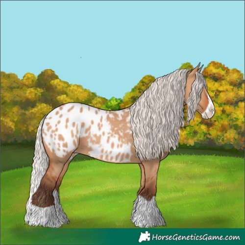 Horse Color:Silver Bay Dun Splash Blanket