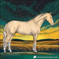 Horse Color:Palomino Roan Splash 