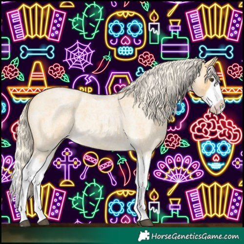 Horse Color:Palomino Roan Splash 