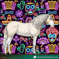 Horse Color:Palomino Roan Splash 