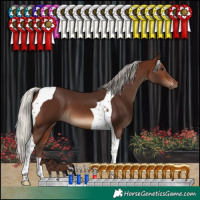 Horse Color:Silver Brown Tobiano 