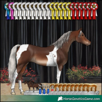 Horse Color:Silver Brown Tobiano