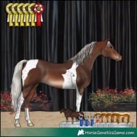 Horse Color:Silver Brown Tobiano 