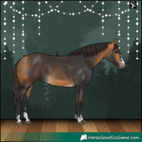 Horse Color:Buckskin 