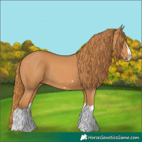 Horse Color:Chestnut Splash Frame