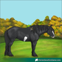 Horse Color:Black Frame 
