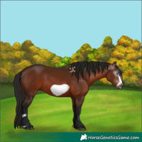 Horse Color:Gray Bay Frame