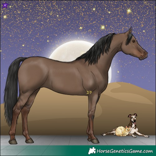 Horse Color:Liver Red Dun Rabicano 