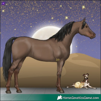 Horse Color:Liver Red Dun Rabicano 