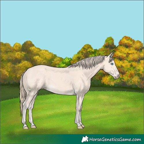 Horse Color:Perlino 