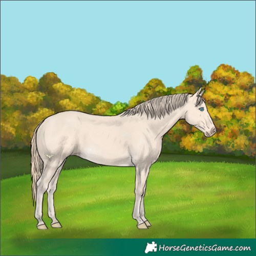 Horse Color:Perlino 