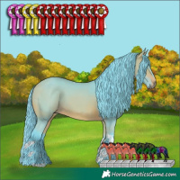 Horse Color:Watercolor Bay Tobiano 