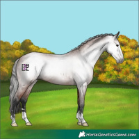Horse Color:Gray Bay