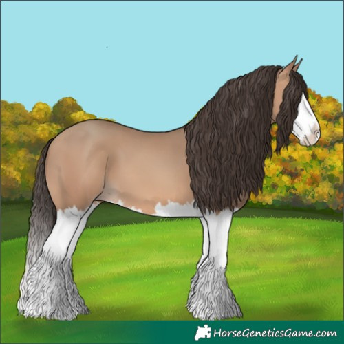 Horse Color:Amber Champagne Splash