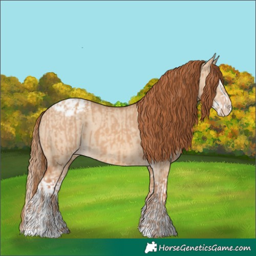 Horse Color:Red Dun Varnish  and Red Dun Splash Varnish 