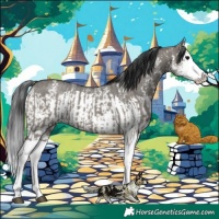 Horse Color:Grullo Sabino Splash  and Grullo Sabino Splash 