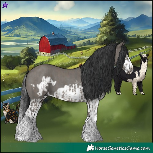 Horse Color:Grullo Sabino Splash and Grullo Sabino Splash Frame
