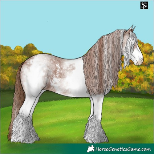 Horse Color:White Spotted Chestnut Sabino