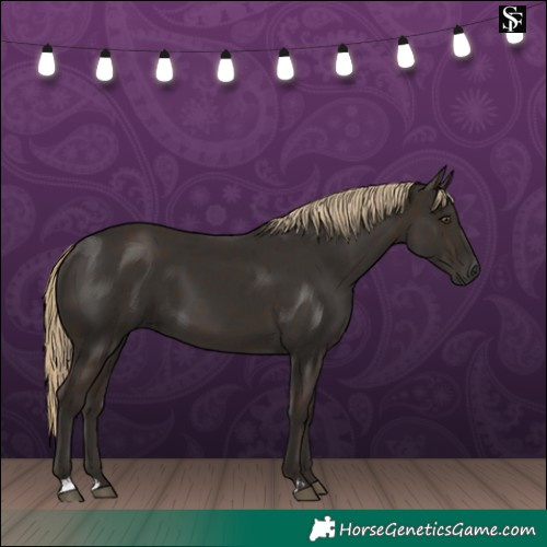 Horse Color:Liver Chestnut  and Liver Chestnut 