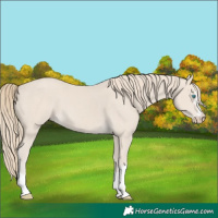 Horse Color:Smoky Creme 