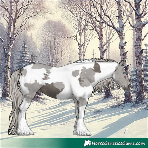 Horse Color:Silver Black Merle Tobiano 
