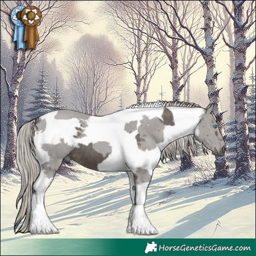Horse Color:Silver Black Merle Tobiano 