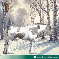 Horse Color:Silver Black Merle Tobiano 