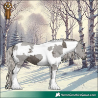 Horse Color:Silver Black Merle Tobiano 
