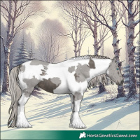 Horse Color:Silver Black Merle Tobiano
