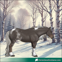 Horse Color:Silver Black Tobiano 
