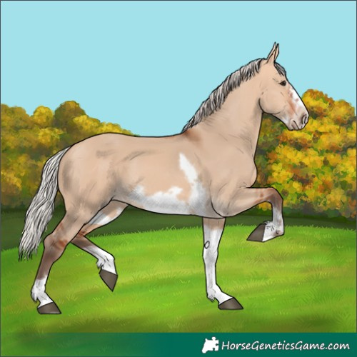Horse Color:Silver Bay Dun Sabino Tobiano Frame Rabicano 