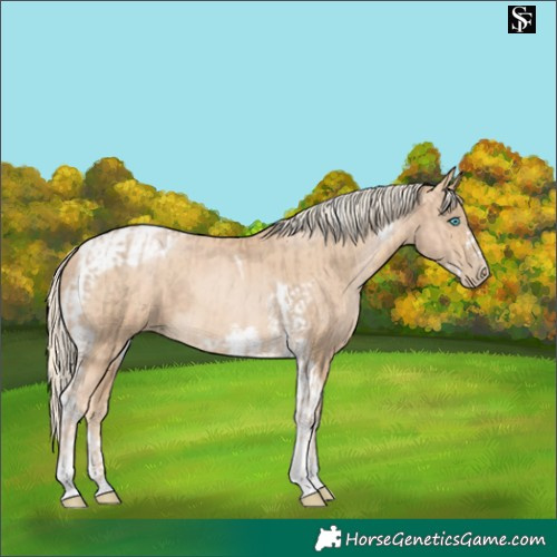 Horse Color:Chocolate Palomino Pearl Tobiano Frame  and Palomino Pearl Tobiano Frame 