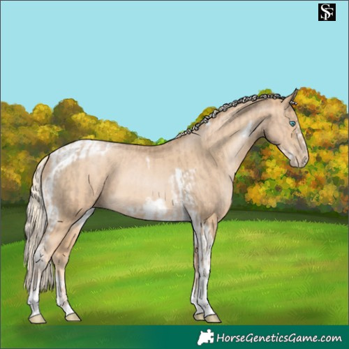 Horse Color:Chocolate Palomino Pearl Tobiano Frame and Palomino Pearl Tobiano Frame