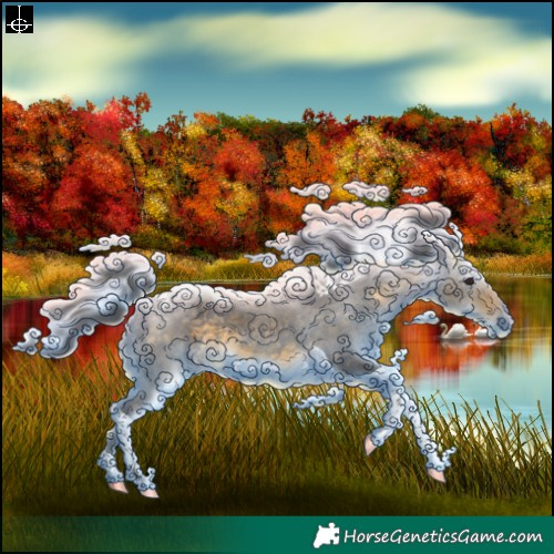 Horse Color:Buckskin Merle Tobiano Rabicano 
