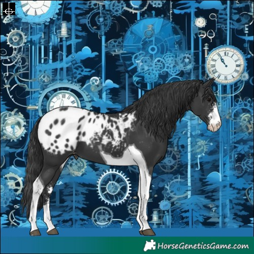 Horse Color:Black Sabino Tobiano Blanket